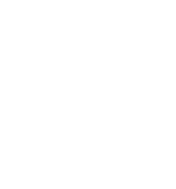 API logo